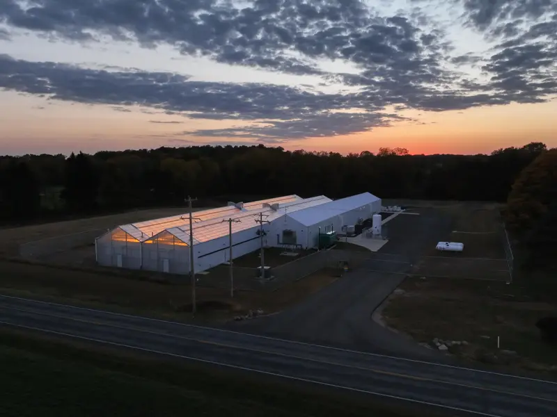 Pure Coast Veganic Cannabis' Facility at sunset